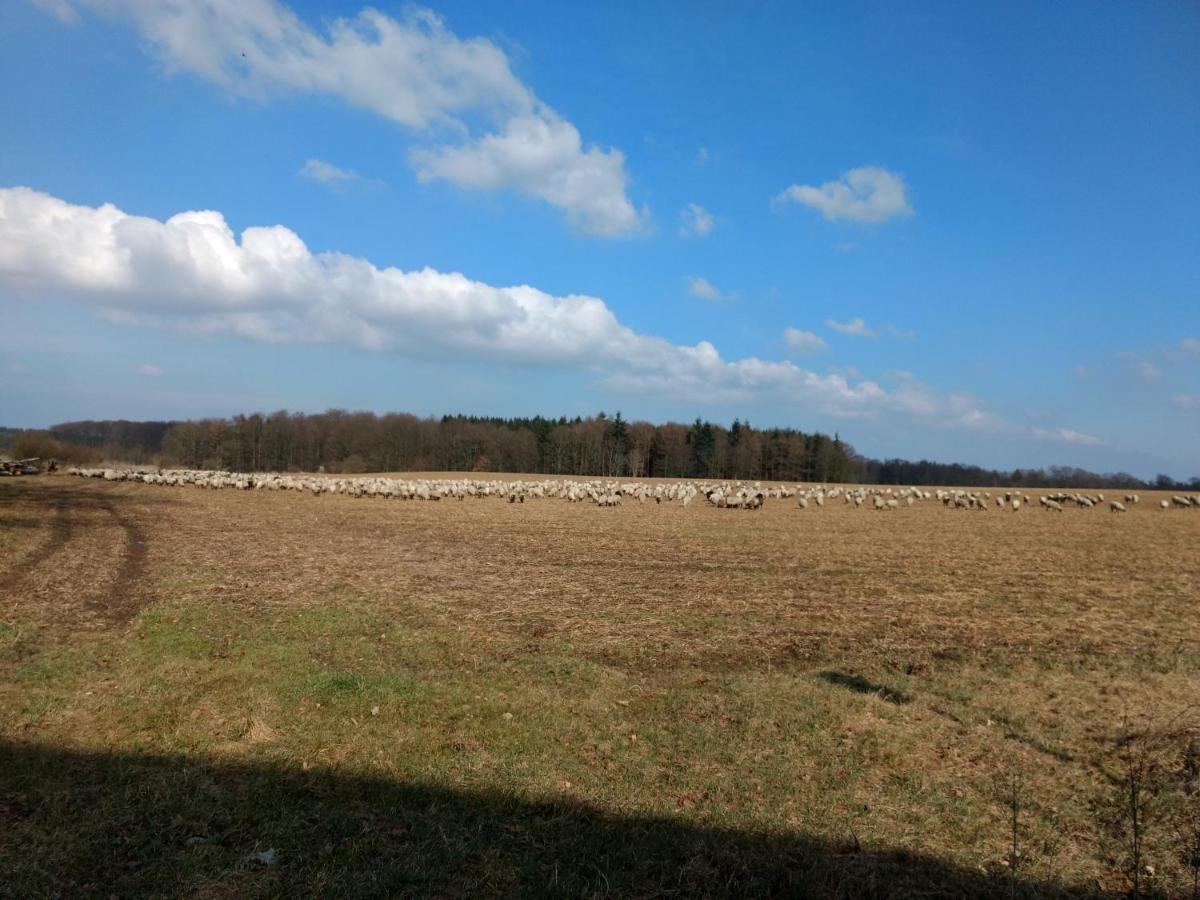 Fewo Haus Patze Betzendorf Экстерьер фото